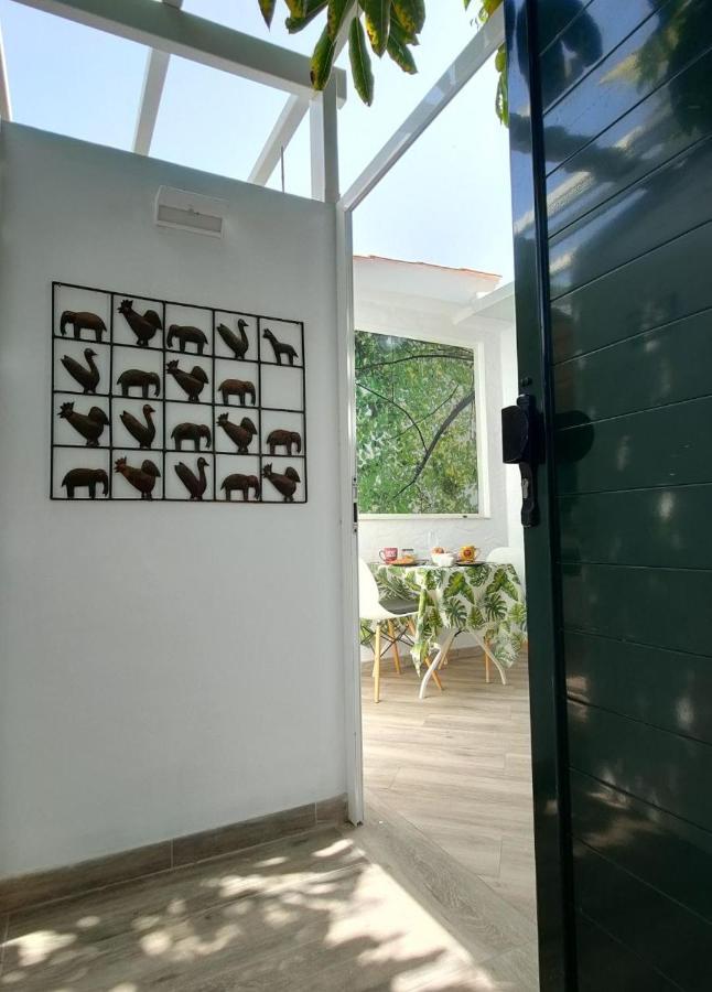 Casa Maga Lägenhet Maspalomas  Exteriör bild